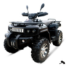 Новая модель 400cc один цилиндр 4 X 4 утилита ATV (JA 400AUGS-1)